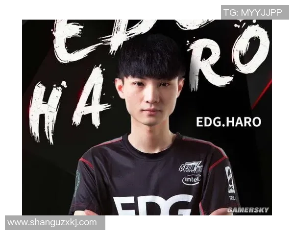 DOTA2个人能力排行榜揭晓EDG战队选手表现卓越位居前列