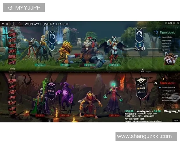 DOTA2热议：WE战术选择引发的争议与反思