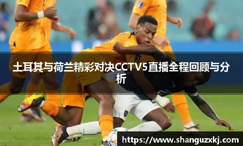 土耳其与荷兰精彩对决CCTV5直播全程回顾与分析